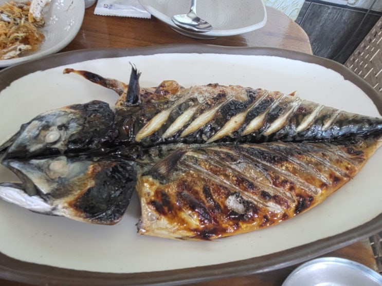  제주 성산 애견동반 식당 아침식사로 제주뚝배기