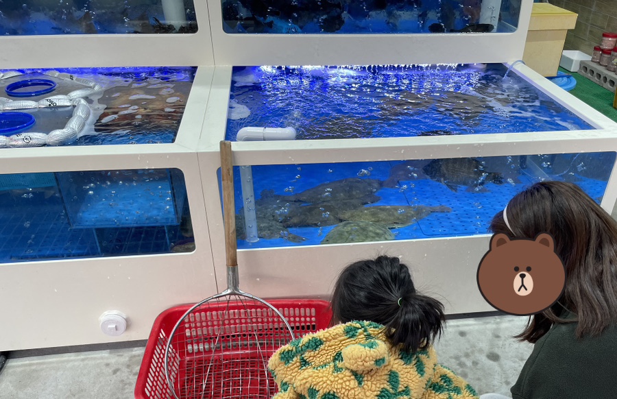 성복호 사진 2