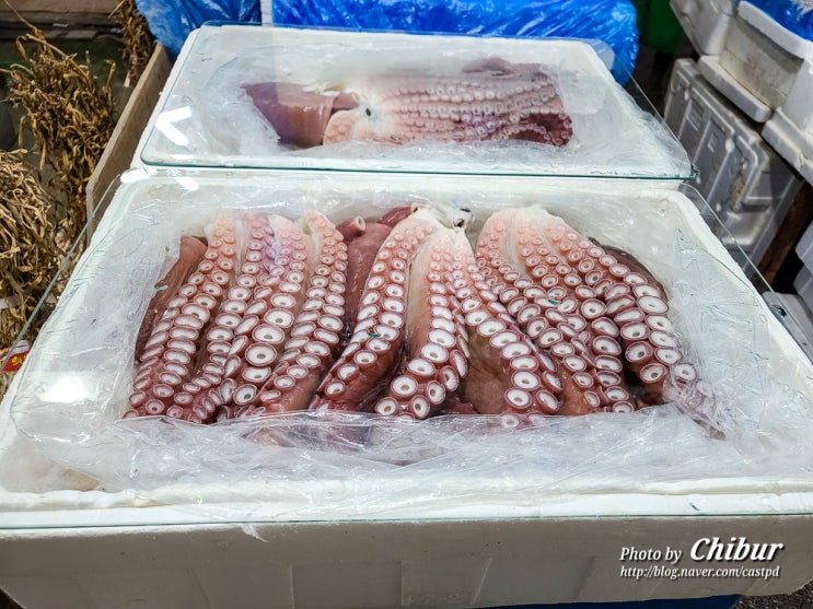  경북 가볼만한곳 영주 여행 365 전통시장 구경
