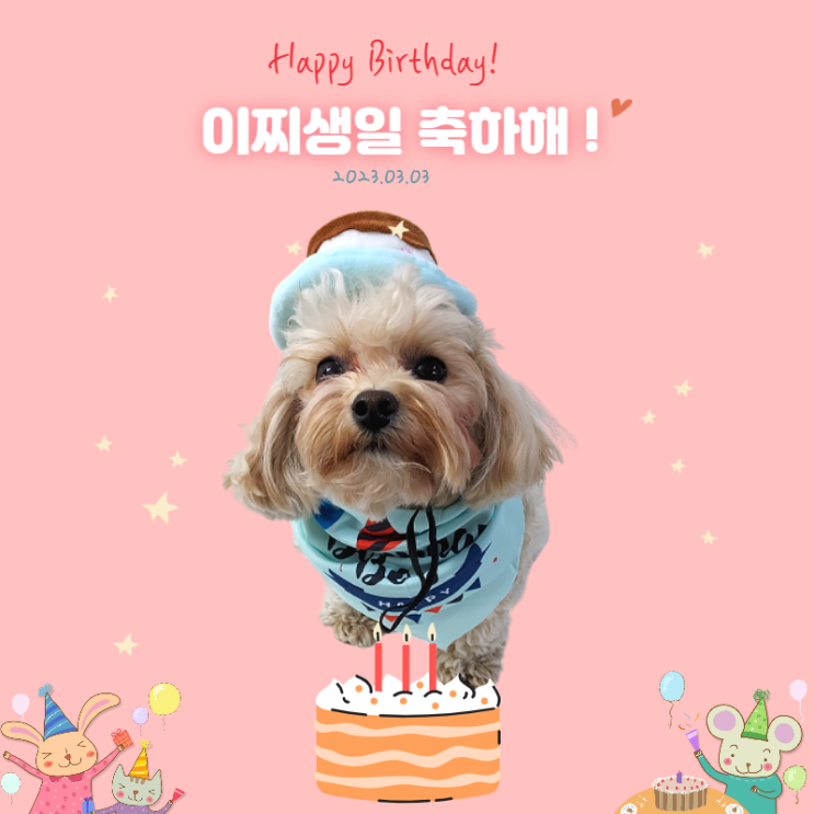  이찌의 두 살 생일을 축하해 Happy Birthday