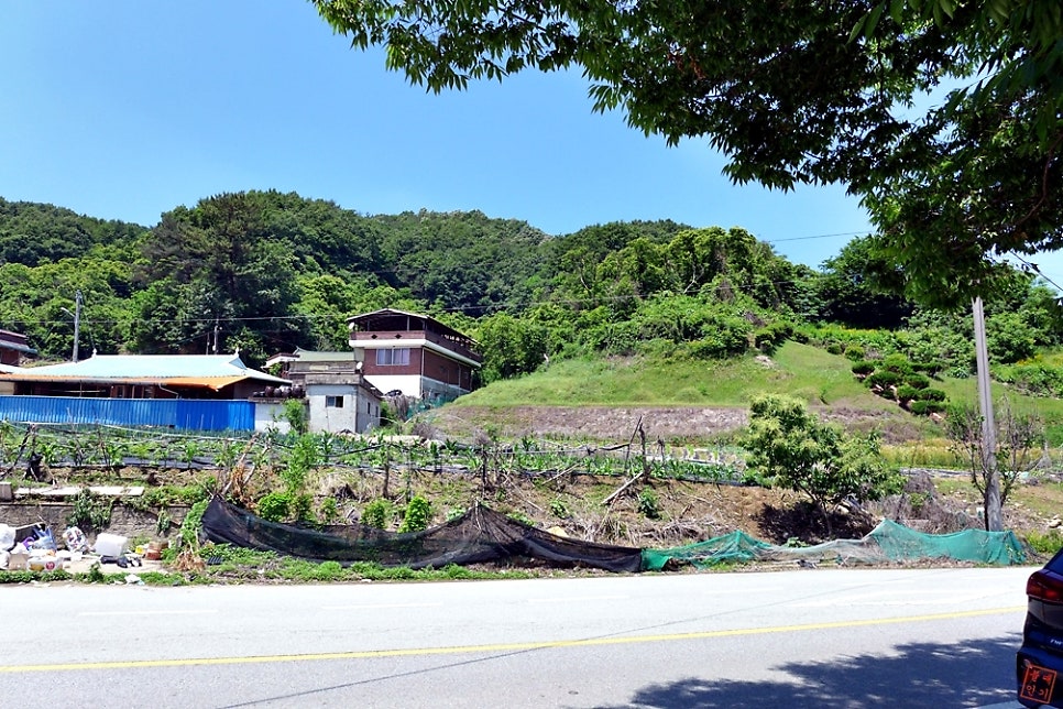 당마루산 사진 4