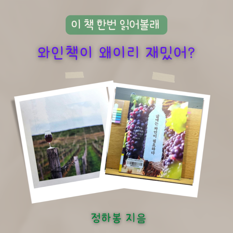 삶에는 와인이 필요하다, 국가대표 소믈리에의 재밌는 와인 이야기