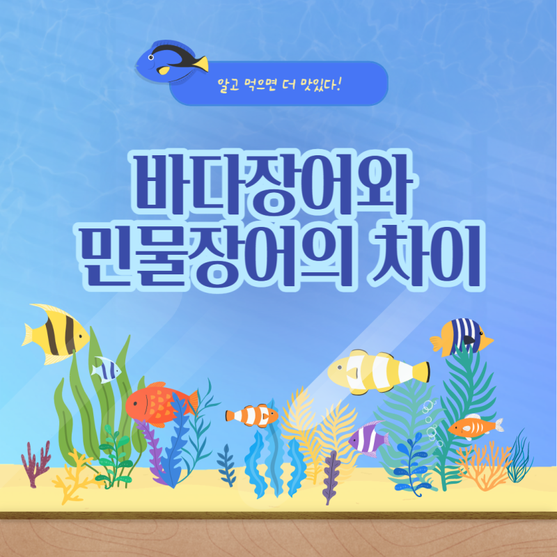 민물장어 바다장어 차이 민물장어가격 더 비싼 이유