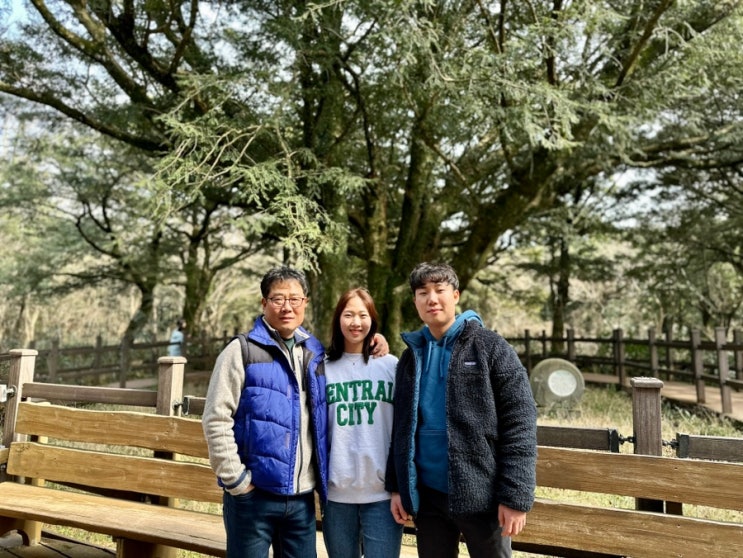  겨울에도 산책하기 좋은 제주 숲길 "비자림"