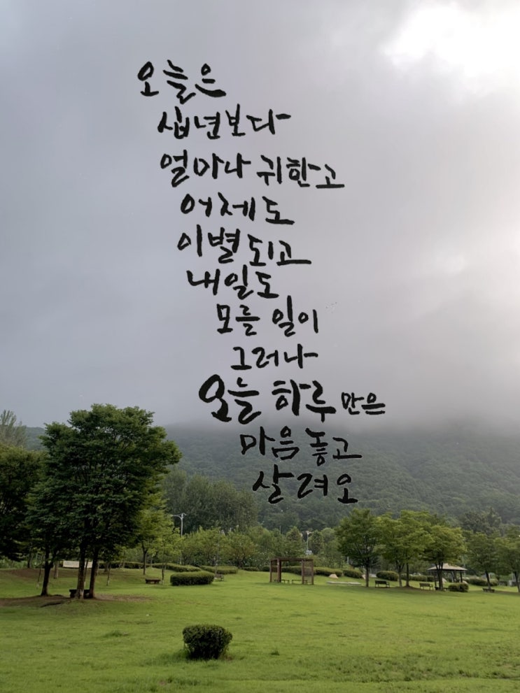  [힐링&마음 치유] 초보의 캘리그라피 좋은글- 시인 장정심 오늘 하루만은 마음 놓고 살려오