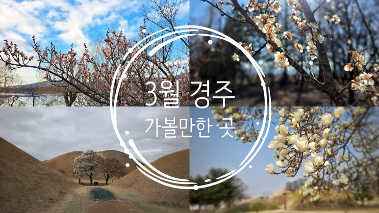 3월 경주 가볼만한 곳 모음