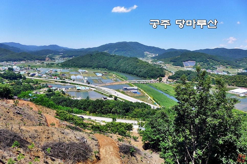 당마루산 사진 1
