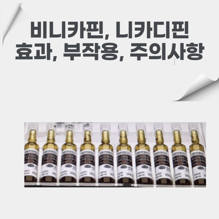  비니카핀(니카디핀) : 혈관확장제로써 작용과 부작용, 사용법, 주의해야할 점