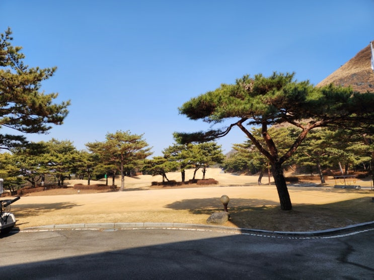  2023년 3월 3일 그린힐cc