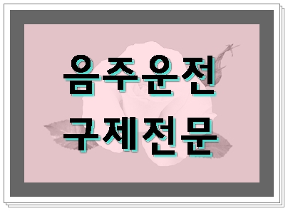남양주 음주운전 행정사는 이런 일을 합니다 남양주 음주운전 행정사는 이런 일을 합니다