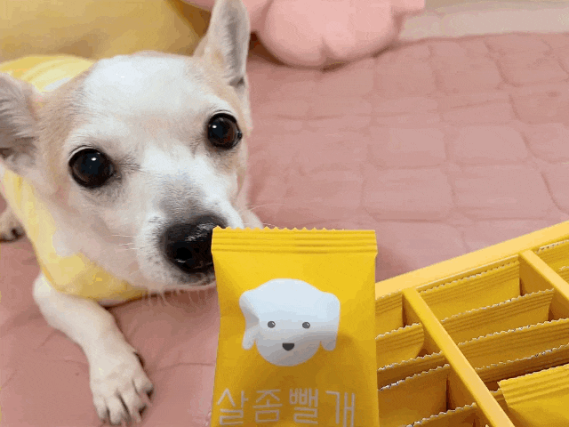  강아지 다이어트 간식 사사견견 살좀뺄개 노령견체중감량 도움