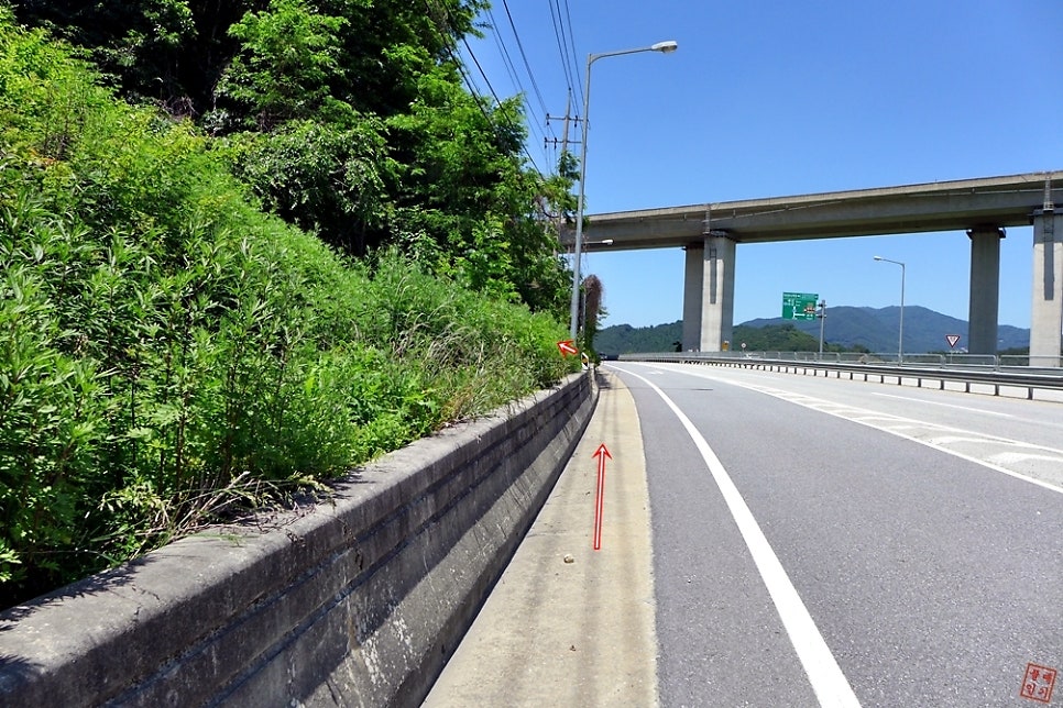 당마루산 사진 5