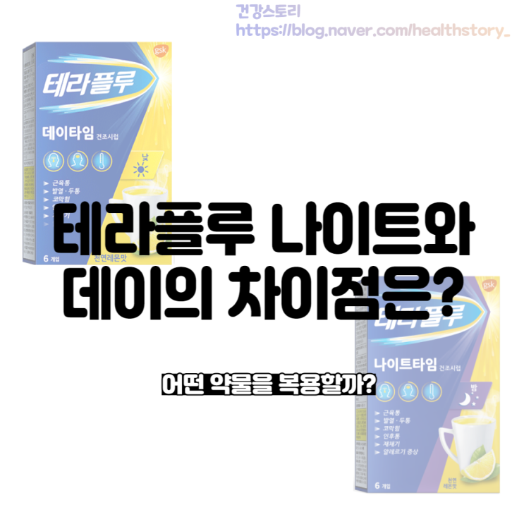  감기약 테라플루 나이트 성분 데이 차이점