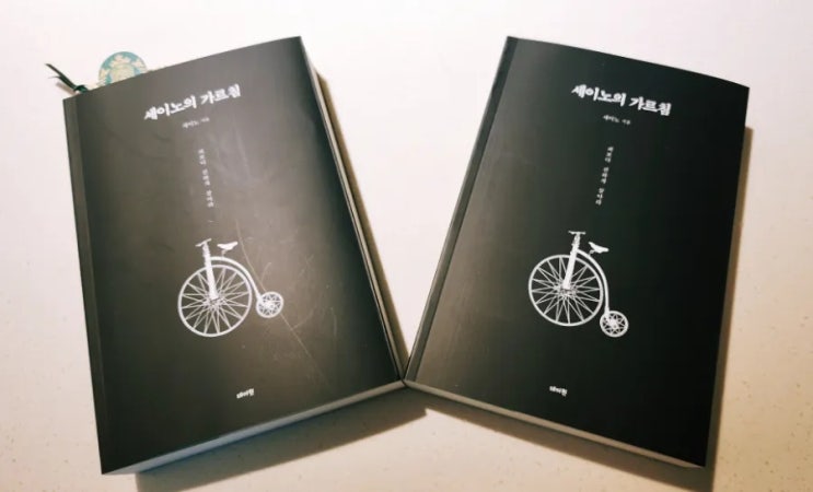  세이노의 가르침
