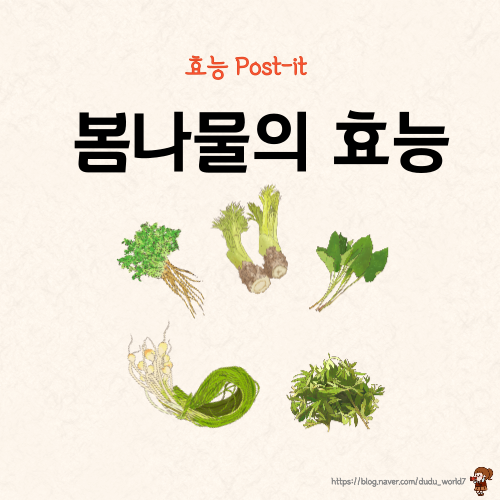  봄나물의 효능, 봄 제철 나물을 먹어야 하는 이유