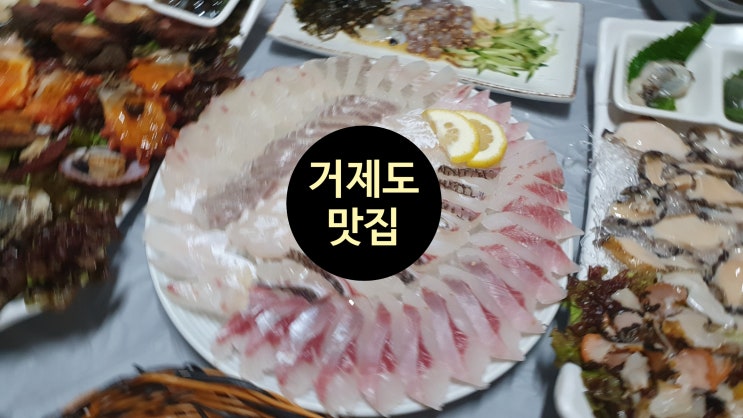  거제도 맛집 강성횟집에서 달인 스페셜 물회 먹고 더꽃 본점까지 방문한 후기