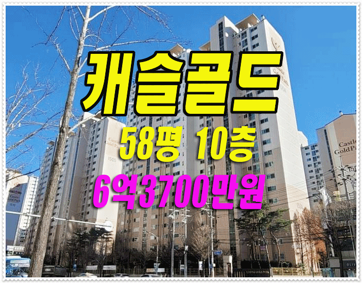 수성구 아파트 경매 황금동 캐슬골드파크5단지 58평