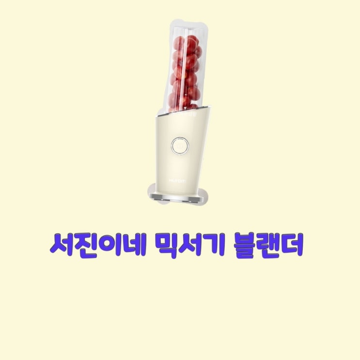  믹서기 블랜더 서진이네 생강 갈던 미니 기계