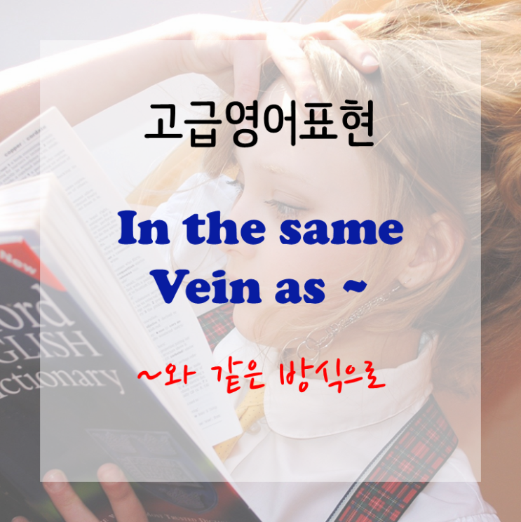  [고급영어표현] In the same vein as ~ - ~와 같은 방식으로