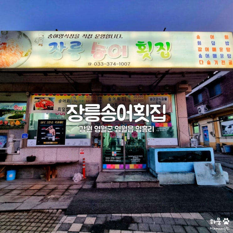 강원도 영월군 민물회 맛집 장릉송어횟집, 간디스토마 팩트 정리