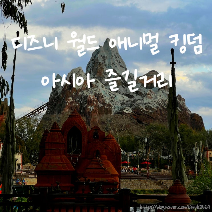  디즈니 월드 애니멀 킹덤 아시아 구역 동물들, 추천 어트랙션