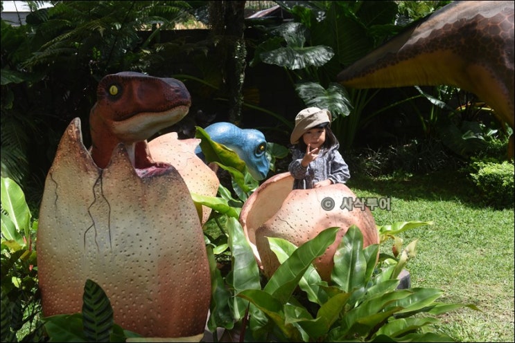 BALI JURASSIC 파크