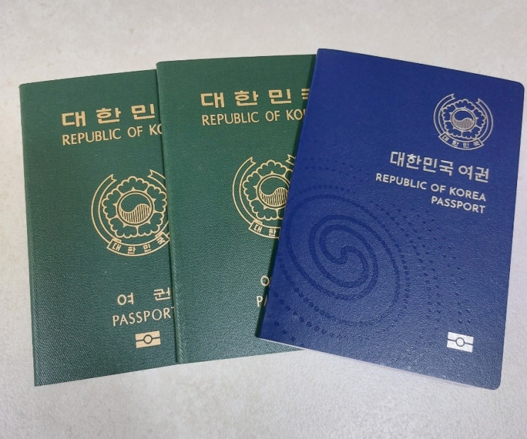  집에서 여권사진 찍는법 (여권사진 규격, 옷, 앞머리 기준)