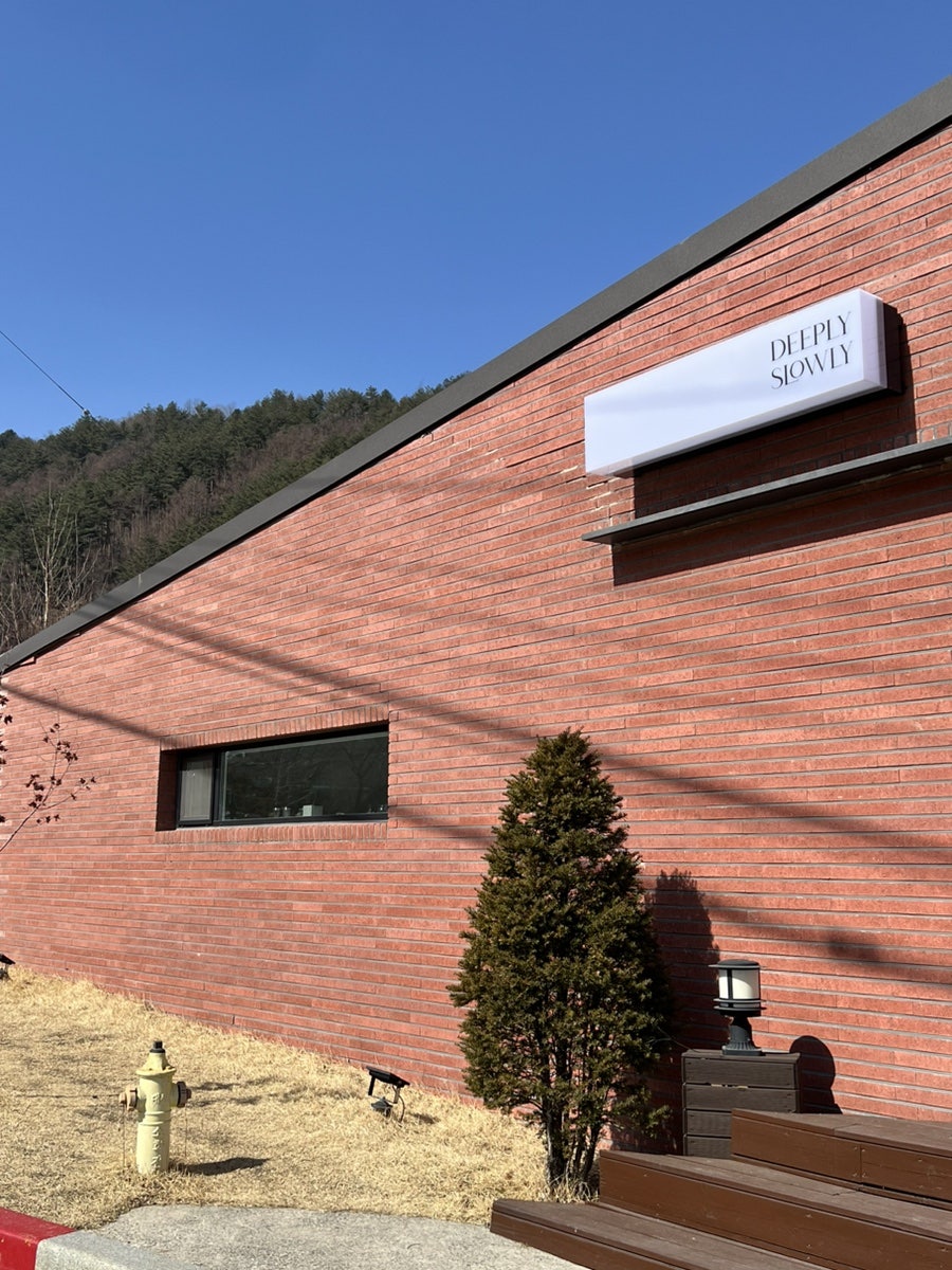 딥플리슬로우리 사진 5