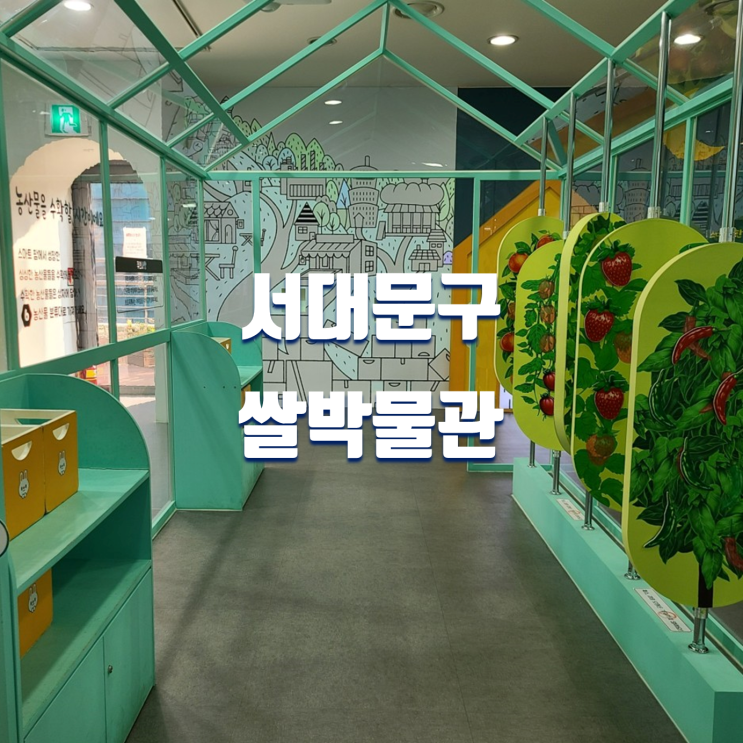 서울 서대문구 가볼만한곳 쌀박물관 무료 체험