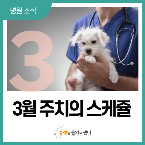  365일 연중무휴 동물병원 3월 주치의 진료표(경기광주 송정동물의료센터)