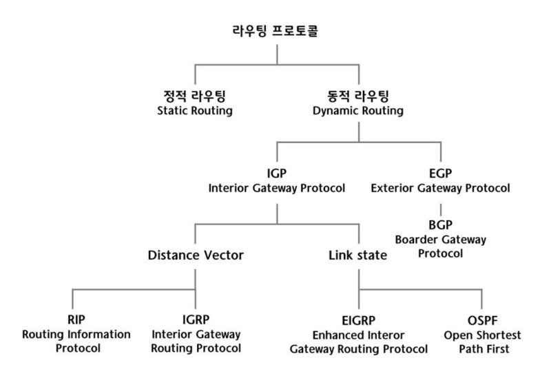 routing_protocol
