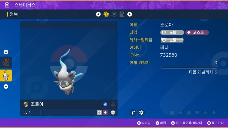  포켓몬 일기 , 생애 첫 알로치 조로아와 아르세우스