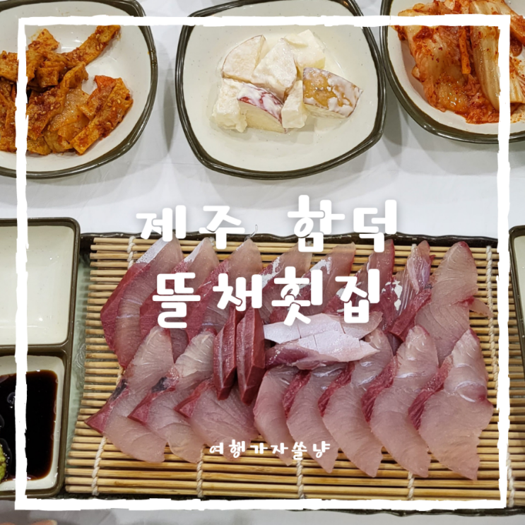  함덕 횟집 소노벨제주 근처 국내맛집여행 뜰채횟집 회정식