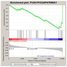 Gene Set Enrichment Analysis - Gene Ontology 란 GSEA 란? -용도와 해석법