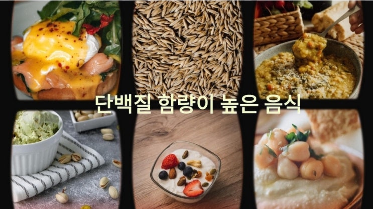 단백질 함량이 의외로 높은 식품 5