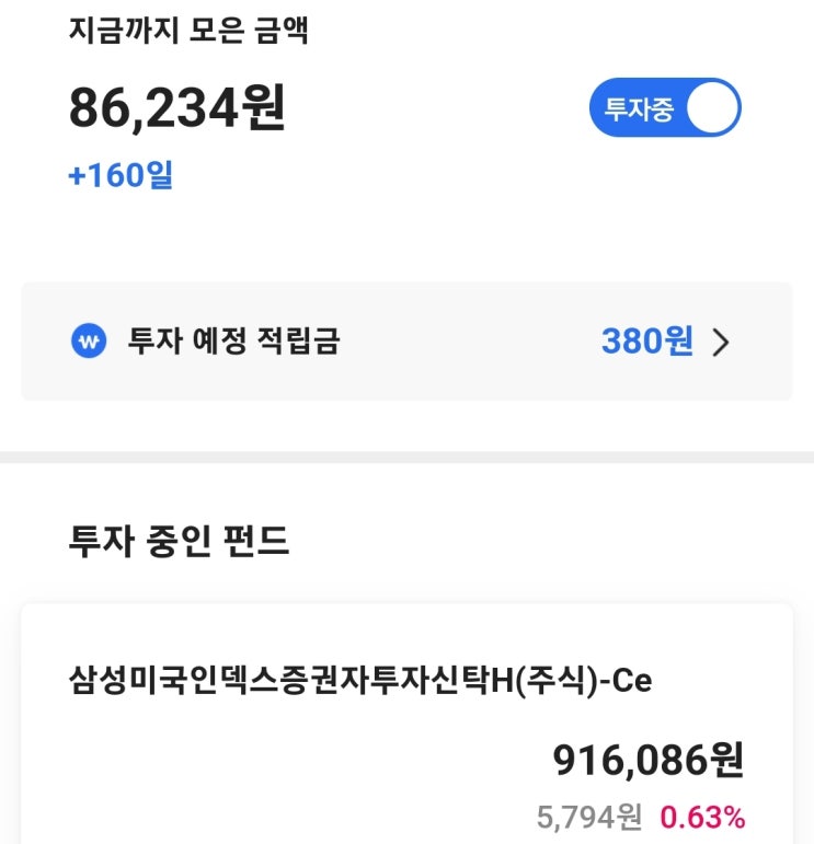  얼마를 투자할 것인가?