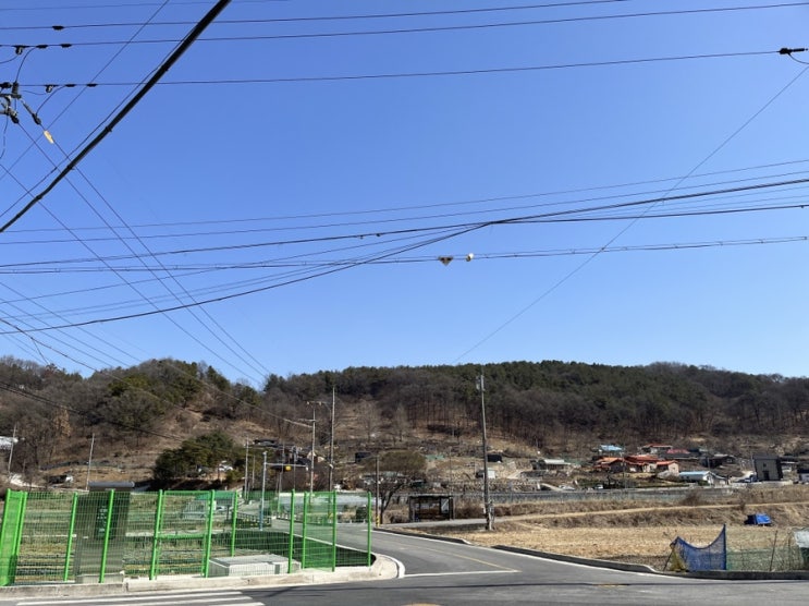  대전 대덕구 용호동 대지임장 1억2천오백
