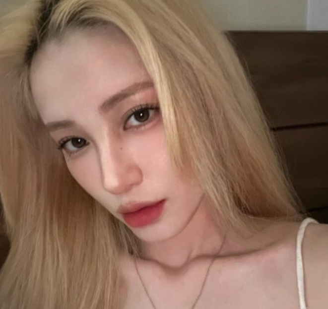 유깻잎 "학폭이 유행이라니…일상 가능?" 악플러에게 일침 유깻잎 "학폭이 유행이라니…일상 가능?" 악플러에게 일침