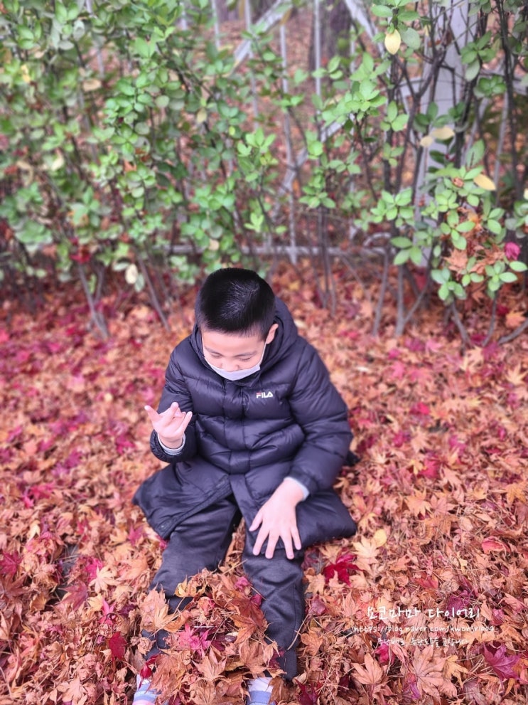  감사일기 230303