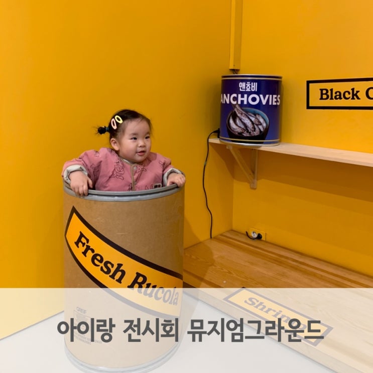  뮤지엄그라운드 용인 아이랑 전시회 센서리유니버스 예약 할인 정보