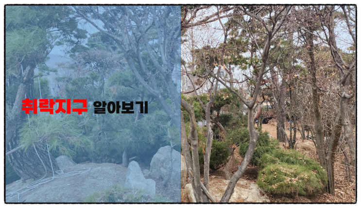  용도지구 중 자연·집단취락지구 건폐율·용적률·건축제한 총정리