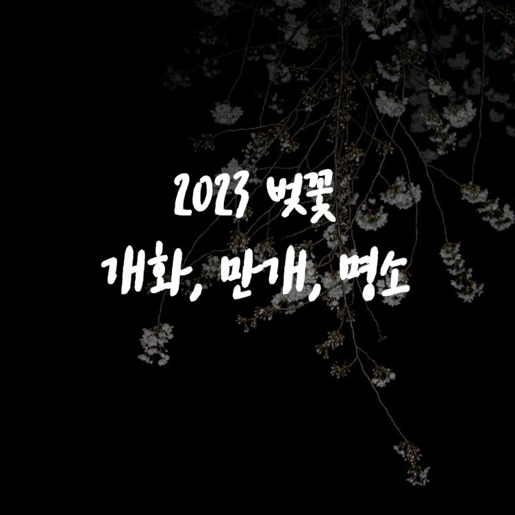  2023 벚꽃 개화 만개 시기 ? 산림 축제 장소 일정 정리