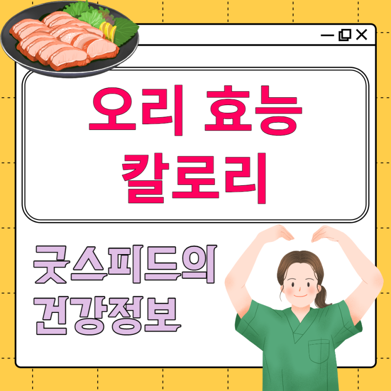 오리고기 칼로리 효능 단백질 영양성분 통풍 상관없나