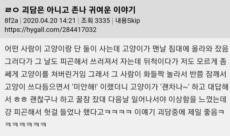  고양이의 목소리 순한맛