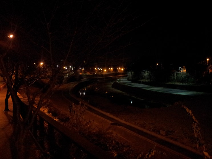 봄이 찾아오는 밤 산책길 풍경 사진 모음