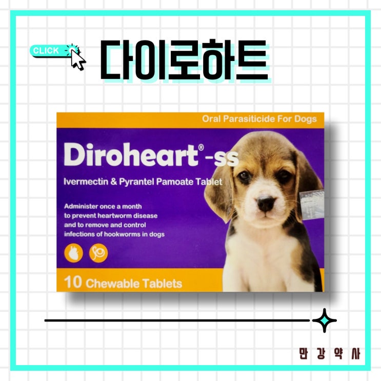  다이로하트 츄어블 / 가성비 심장사상충약, 이버멕틴 + 피란텔 (하트가드, 하트세이버 )