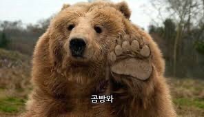  한마디의 힘.