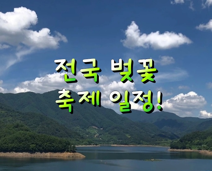 2023년 전국 벚꽃 축제 일정! 2023년 전국 벚꽃 축제 일정!