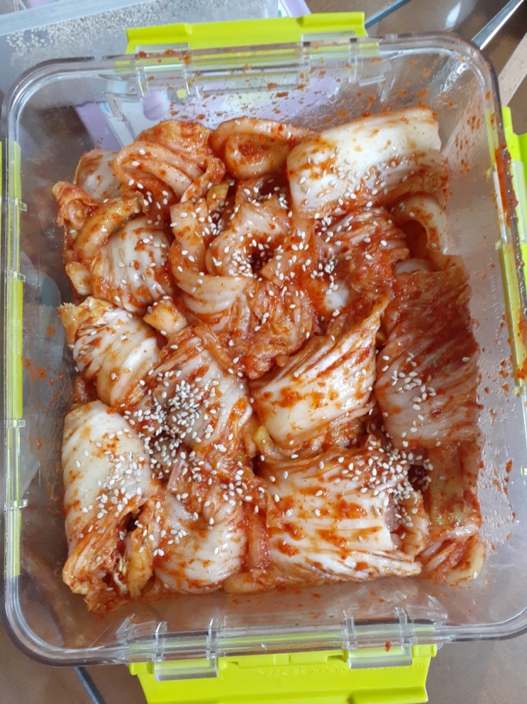  보쌈김치, 닭가슴살샐러드, 비빔국수