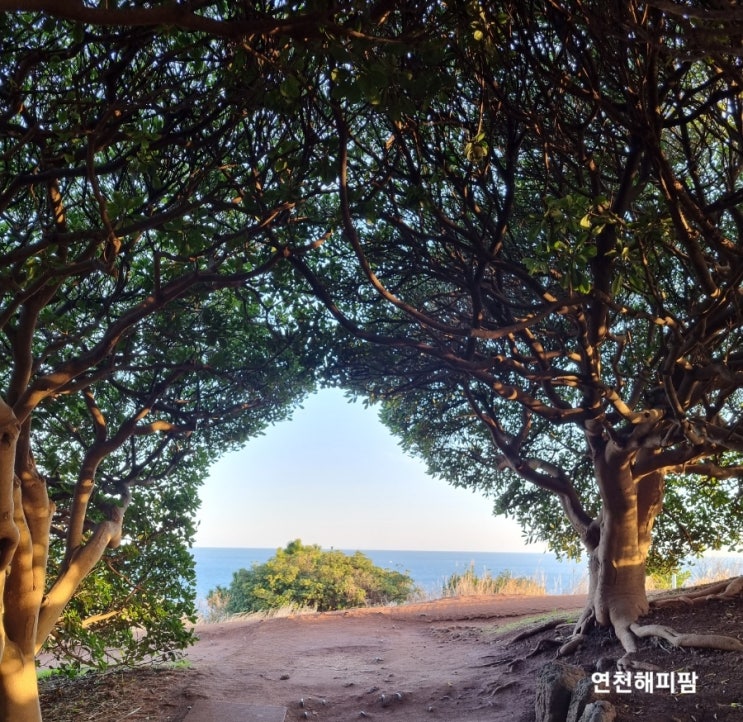  제주도여행 아이와 가볼만한곳 도두봉 키세스존 한라산뷰 바다뷰 비행기뷰